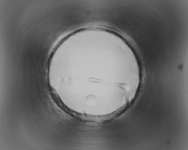 X0000115691224200912241454