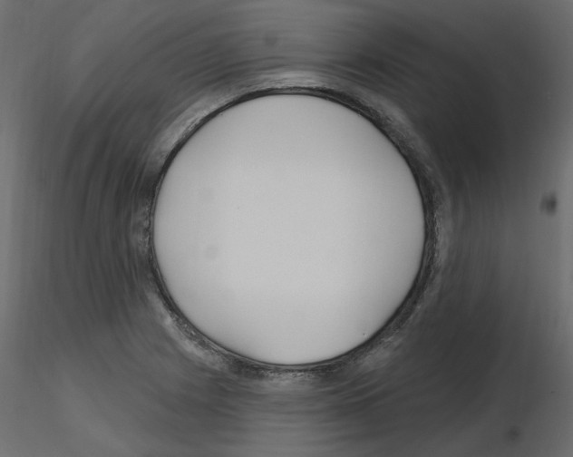 X0000115691225200912241454