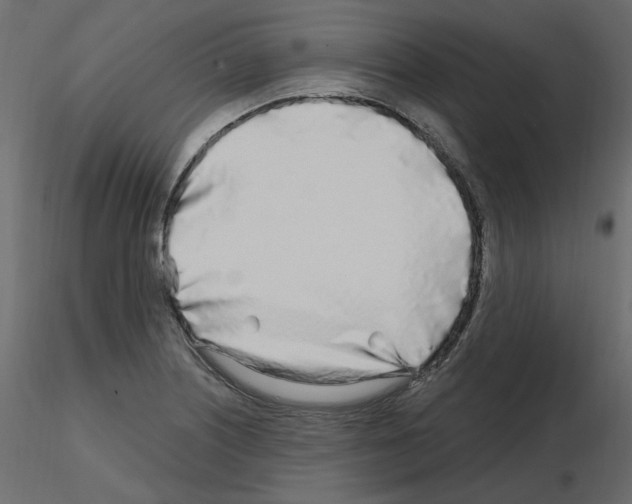 X0000115691226200912241454