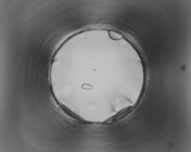 X0000115691228200912241454