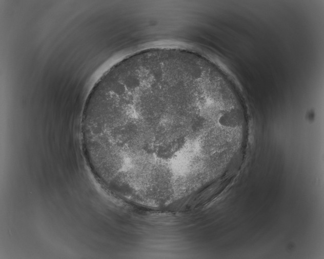 X0000115691229200912241455