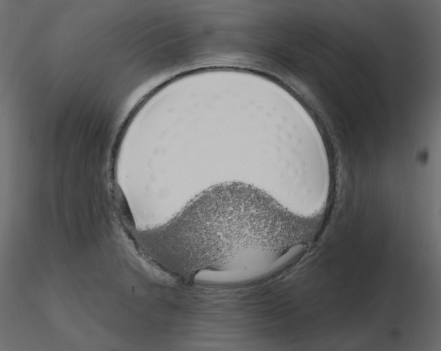 X0000115691230200912241455
