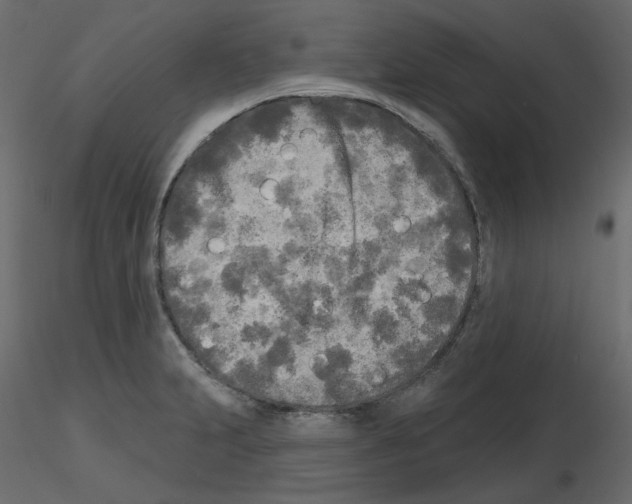X0000115691231200912241455