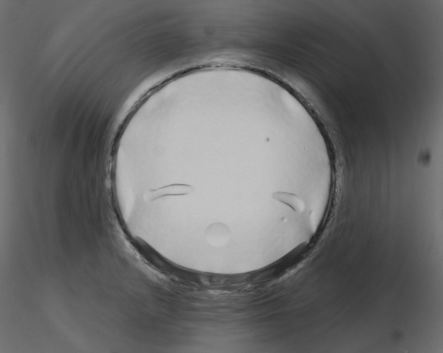 X0000115691232200912241455