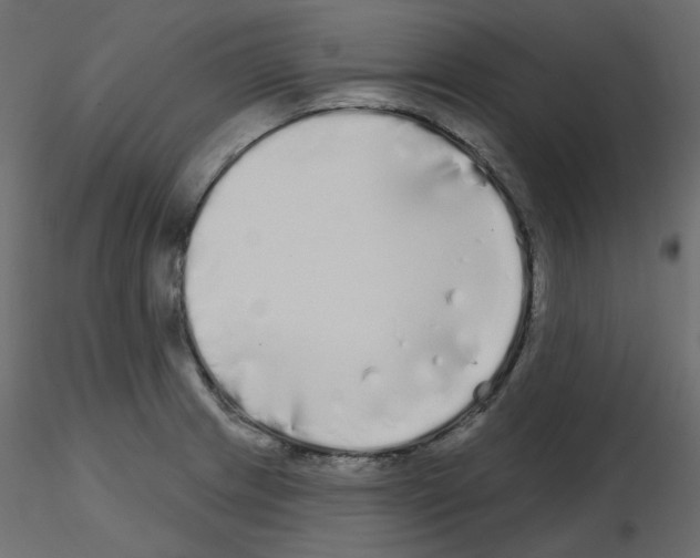 X0000115691233200912241455