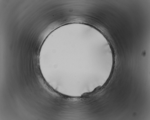X0000115691234200912241455