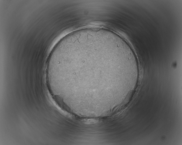 X0000115691235200912241455