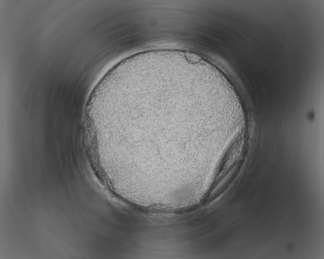 X0000115691236200912241455