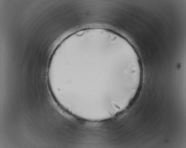 X0000115691237200912241455