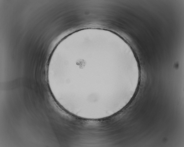 X0000115691238200912241455