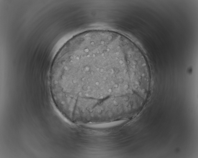 X0000115691239200912241455