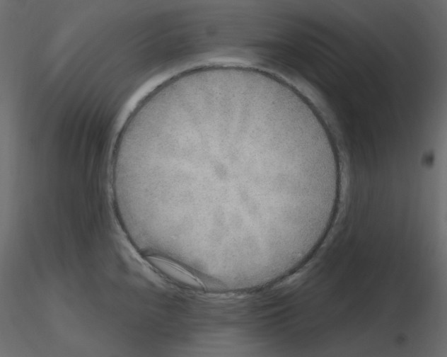 X0000115691240200912241455