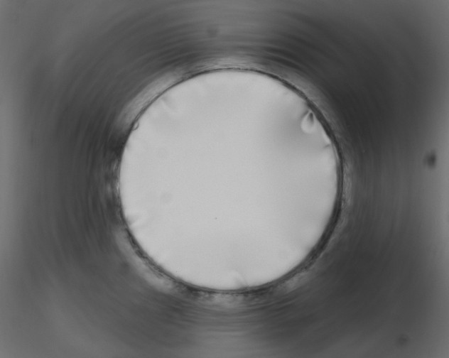 X0000115691241200912241455