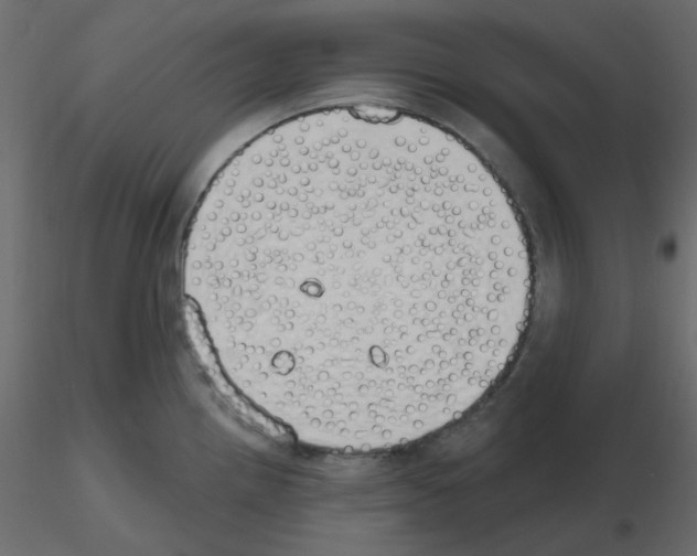 X0000115691242200912241455