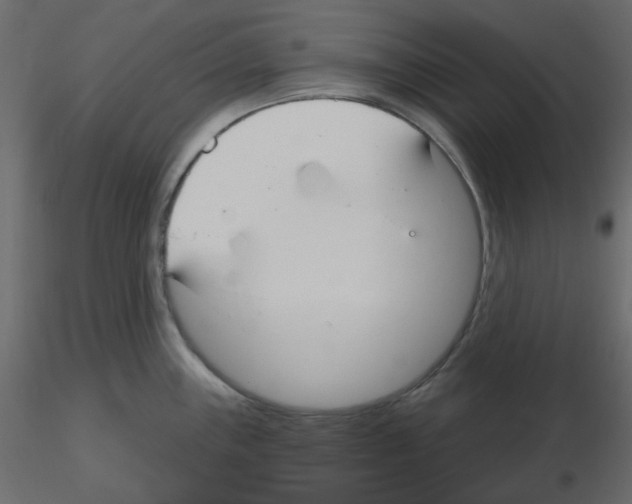 X0000115691243200912241455