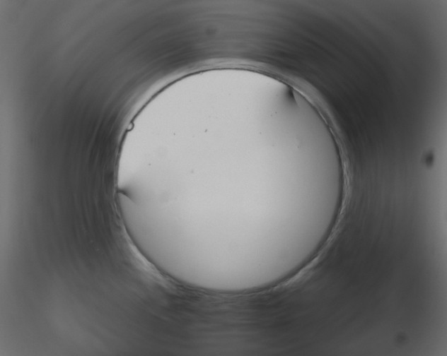 X0000115691244200912241455