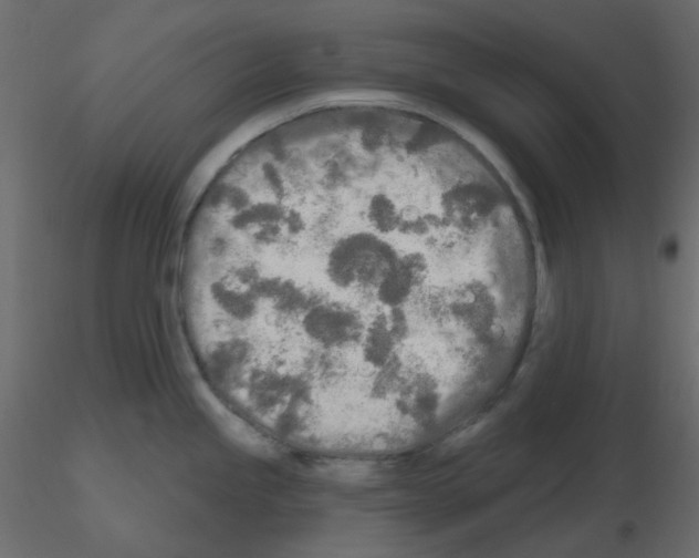 X0000115691245200912241455