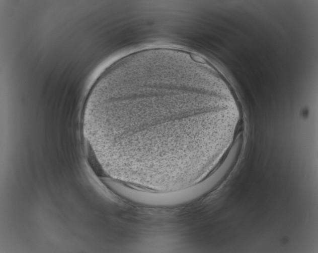 X0000115691246200912241455