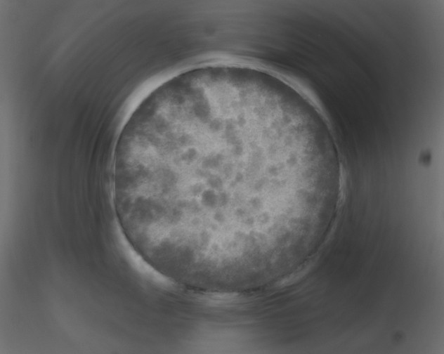 X0000115691247200912241455