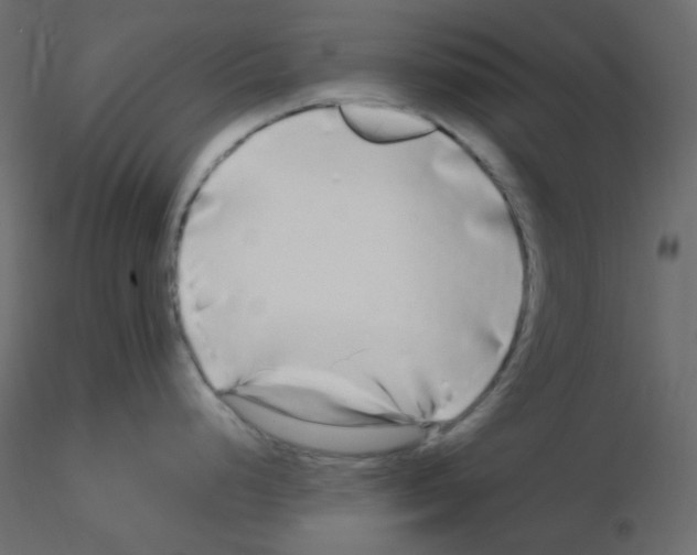 X0000115691248200912241455
