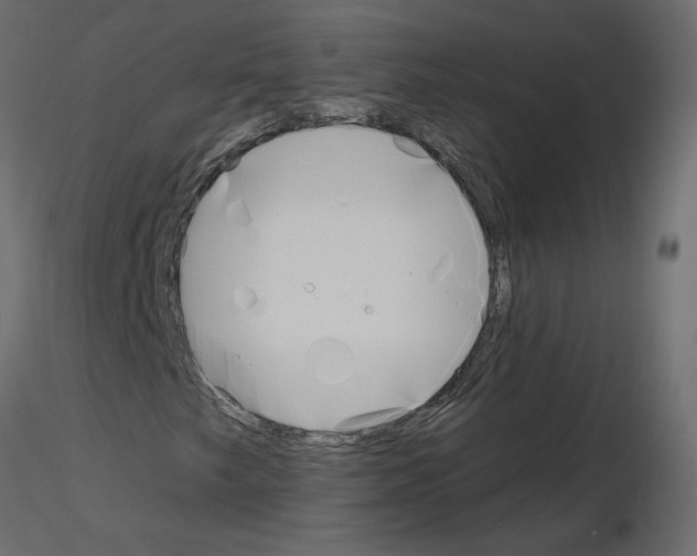 X0000115691249200912241454
