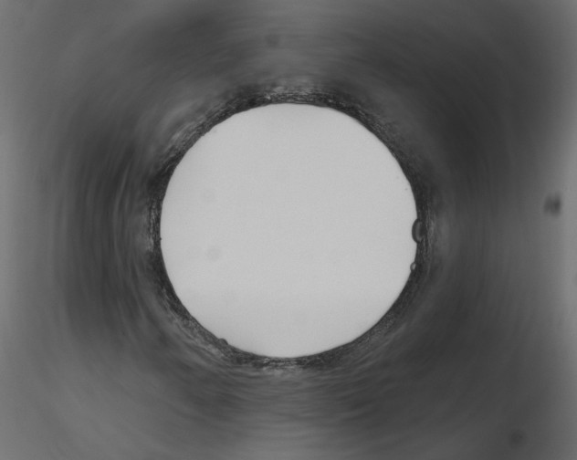 X0000115691250200912241454
