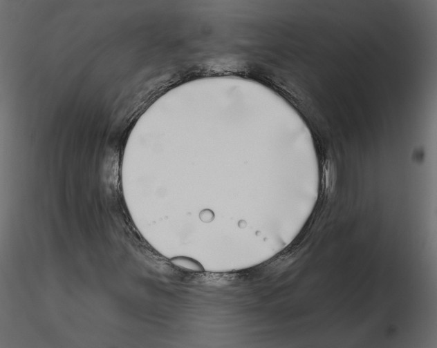 X0000115691251200912241454