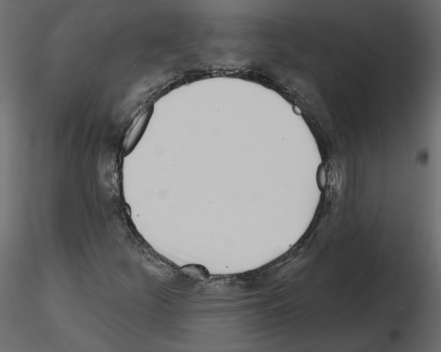 X0000115691252200912241454
