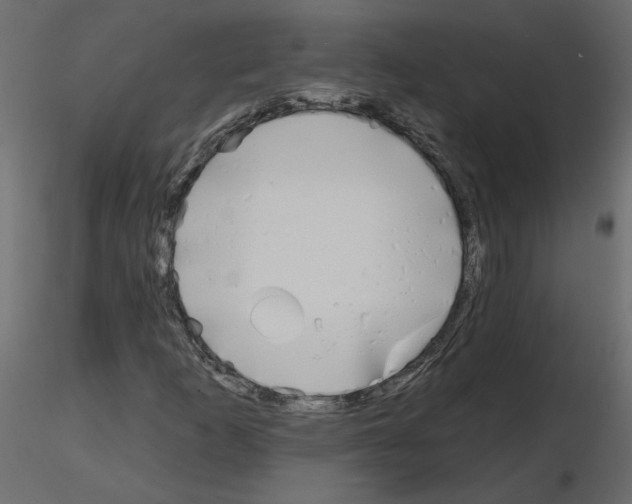 X0000115691253200912241454