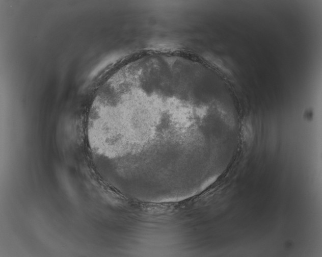 X0000115691254200912241454