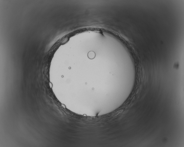 X0000115691255200912241454
