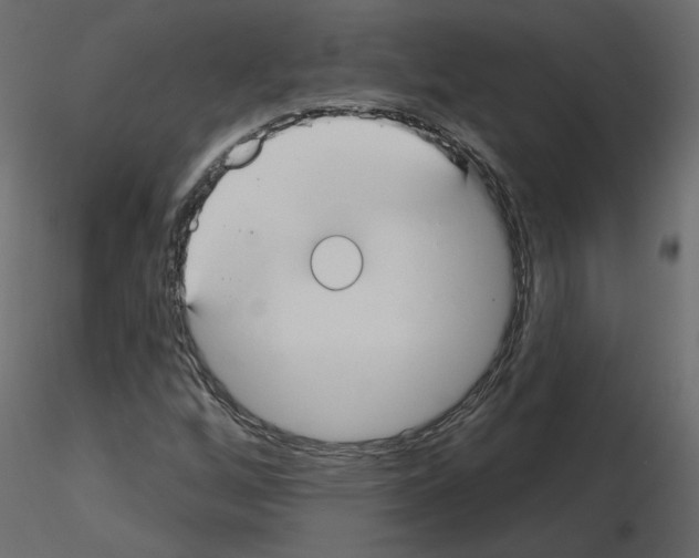 X0000115691256200912241454