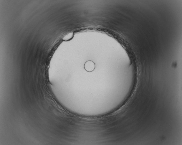 X0000115691257200912241454