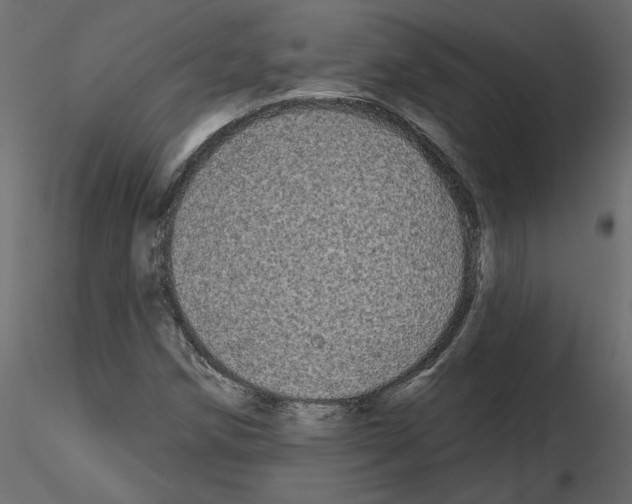 X0000115691258200912241454