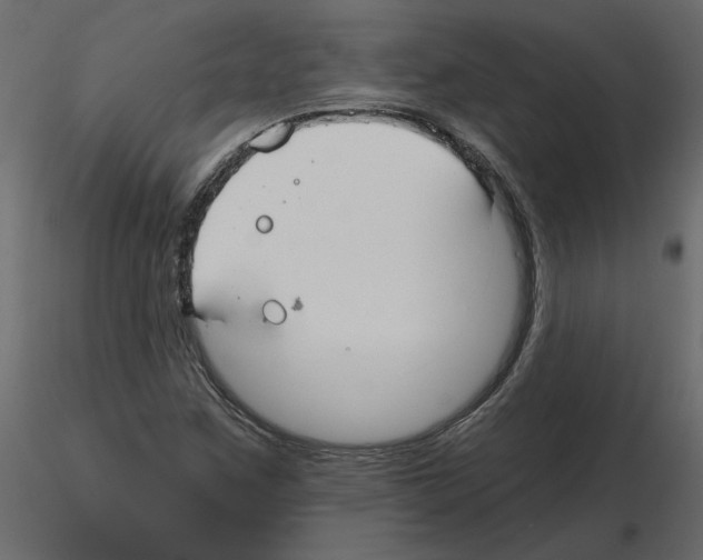 X0000115691259200912241454