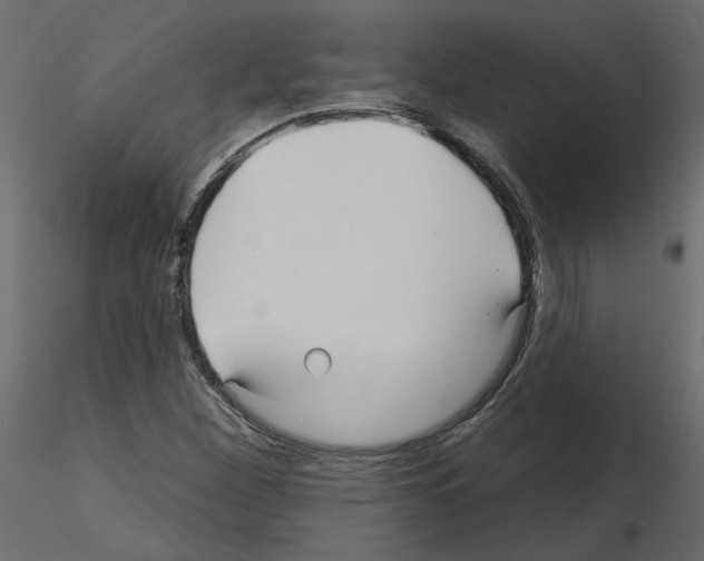 X0000115691260200912241454