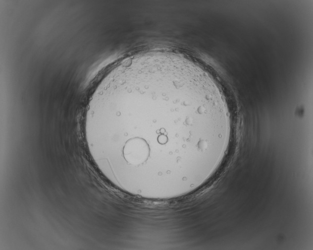 X0000115691261200912241454