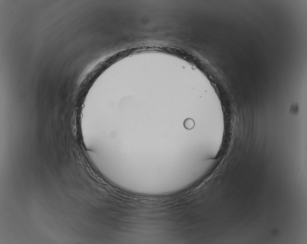 X0000115691262200912241454