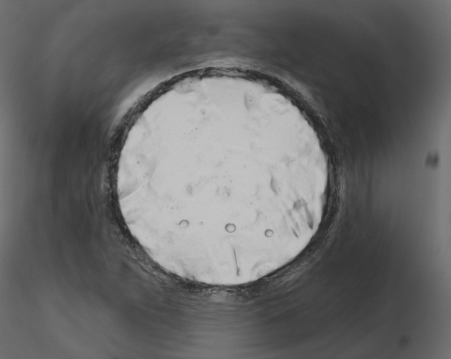 X0000115691263200912241454