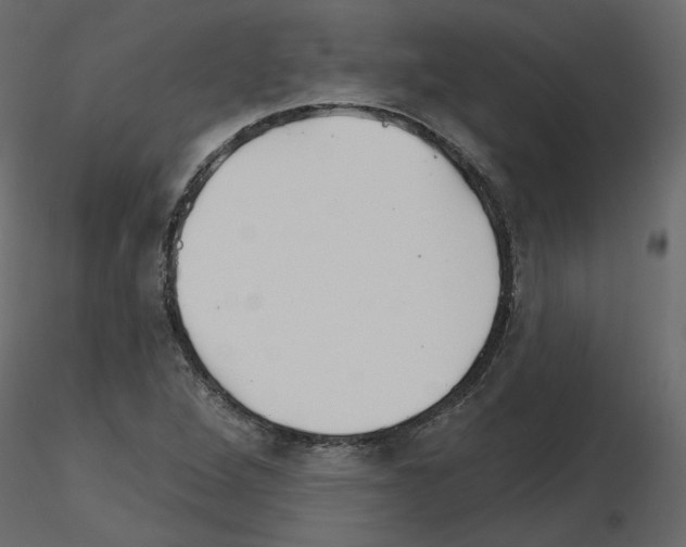 X0000115691264200912241454