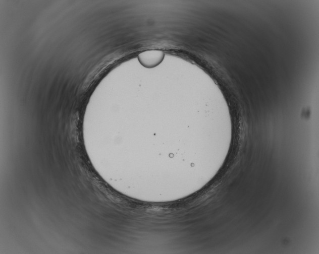 X0000115691265200912241454