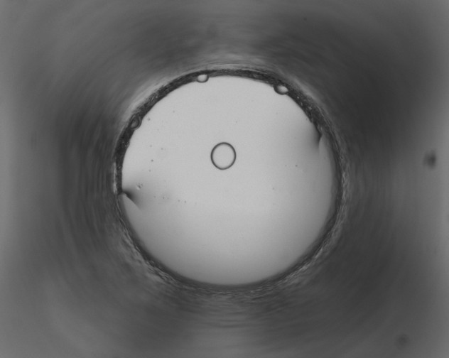 X0000115691267200912241454