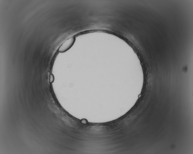 X0000115691268200912241454
