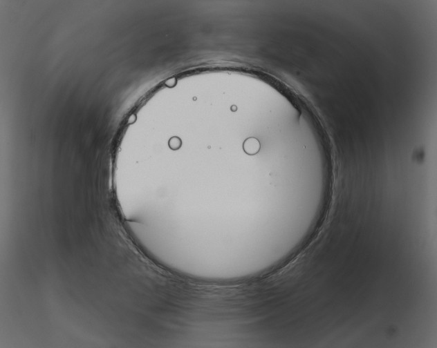 X0000115691269200912241454