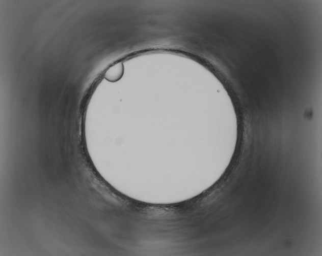 X0000115691270200912241454