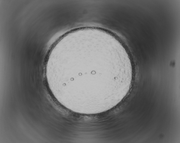 X0000115691271200912241454