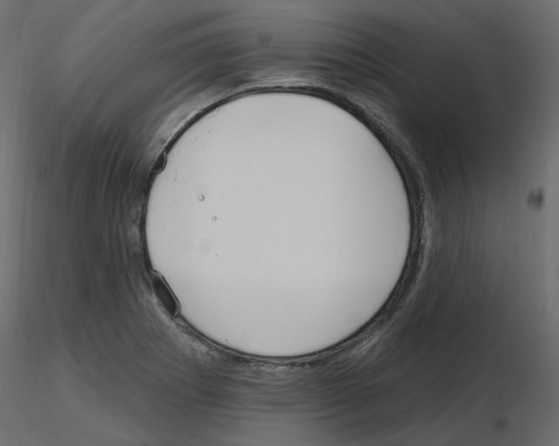 X0000115691273200912241454