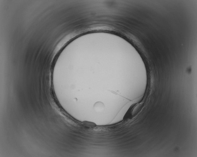 X0000115691274200912241454