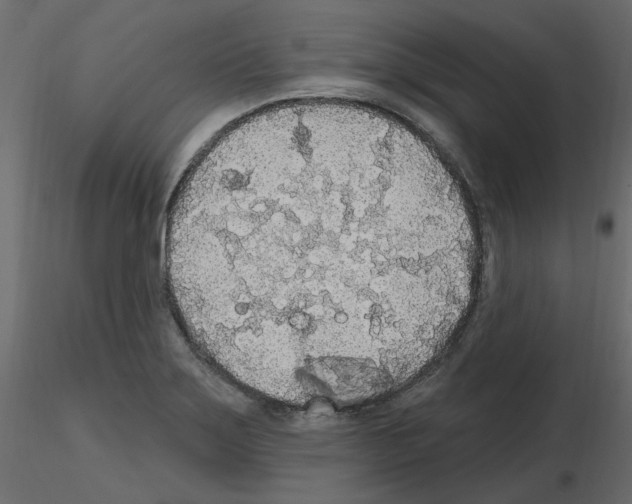 X0000115691275200912241454