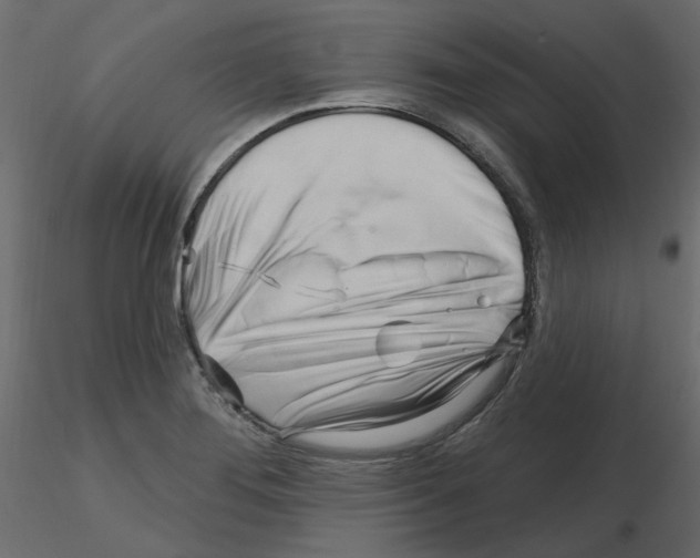 X0000115691276200912241454